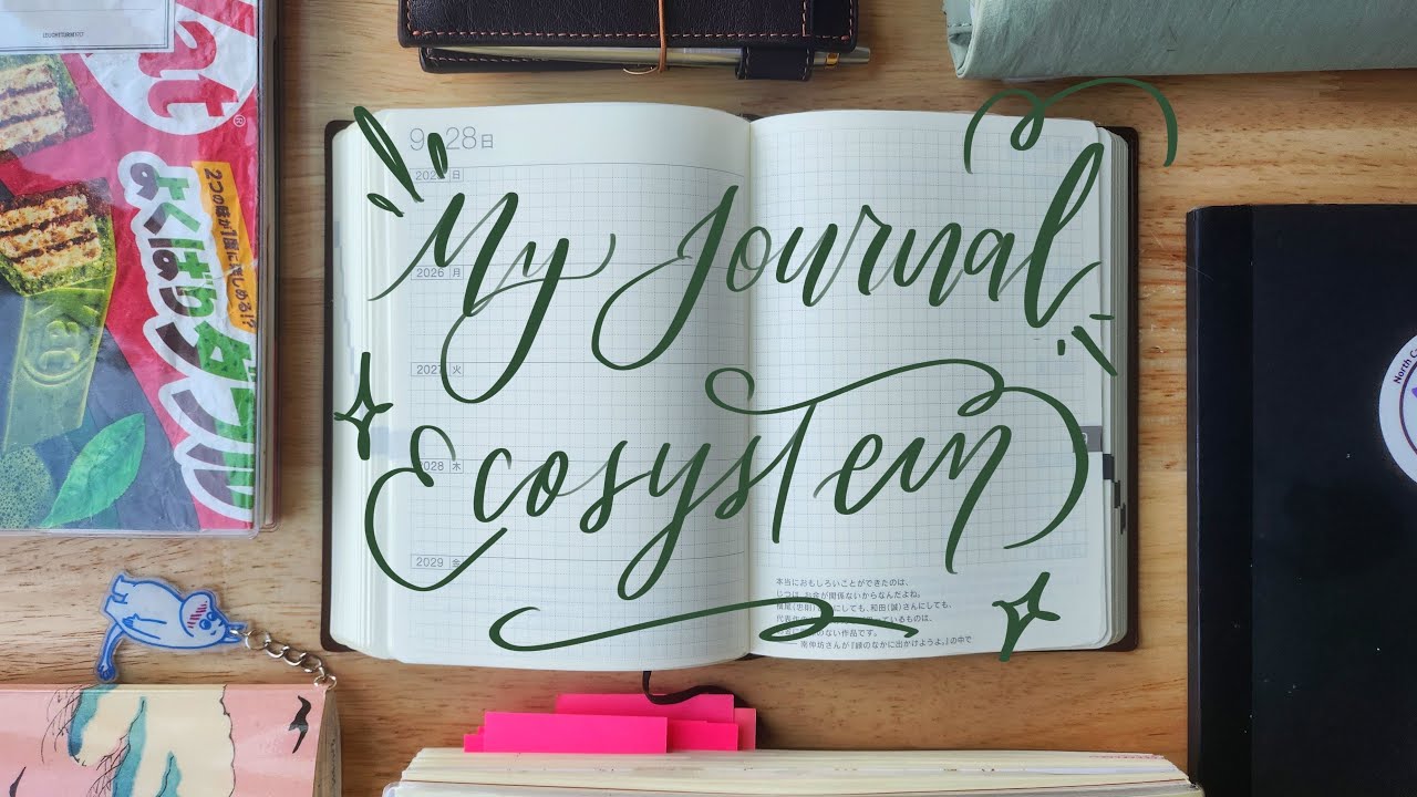 Моя экосистема дневника (и розыгрыш!!)