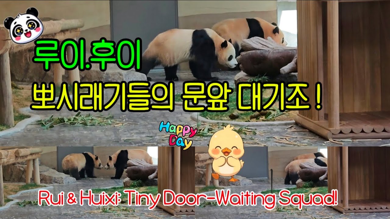 [ep.57]내실 문만 열려봐! 루후 자매의 '간식은 내꺼야'(feat. 지정석 먹방 마무리)