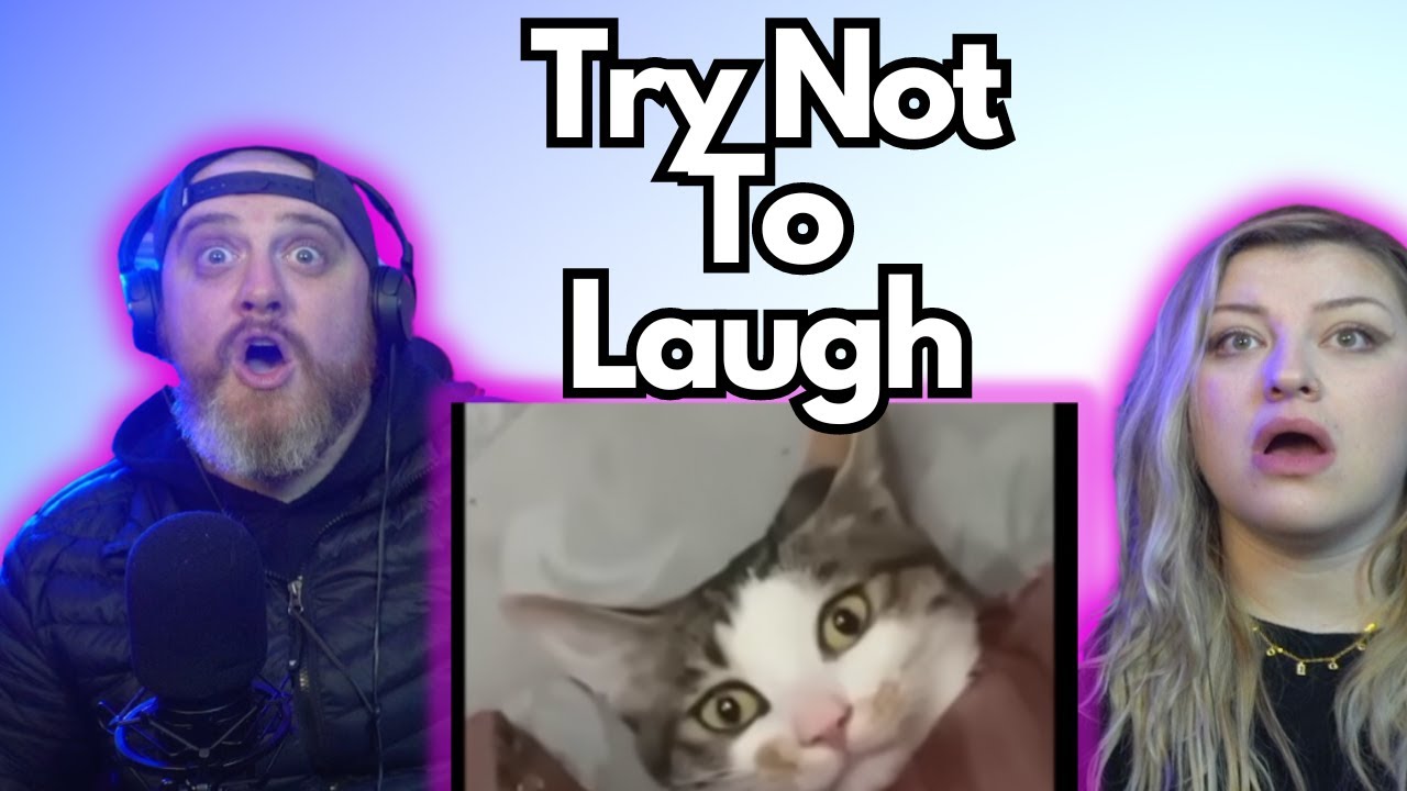 UNUSUAL MEMES COMPILATION V245 | HatGuy &  @gnarlynikki  Try Not To Laugh