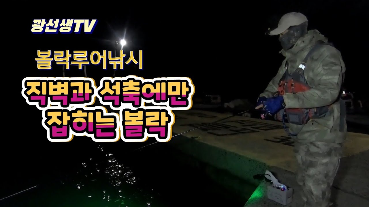 [볼락루어낚시]직벽과 석축에서만 잡히는 볼락[볼락낚시]
