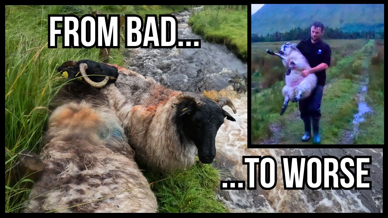 A TERRIBLE EVENING! - I WAS BETTER OFF AT HOME