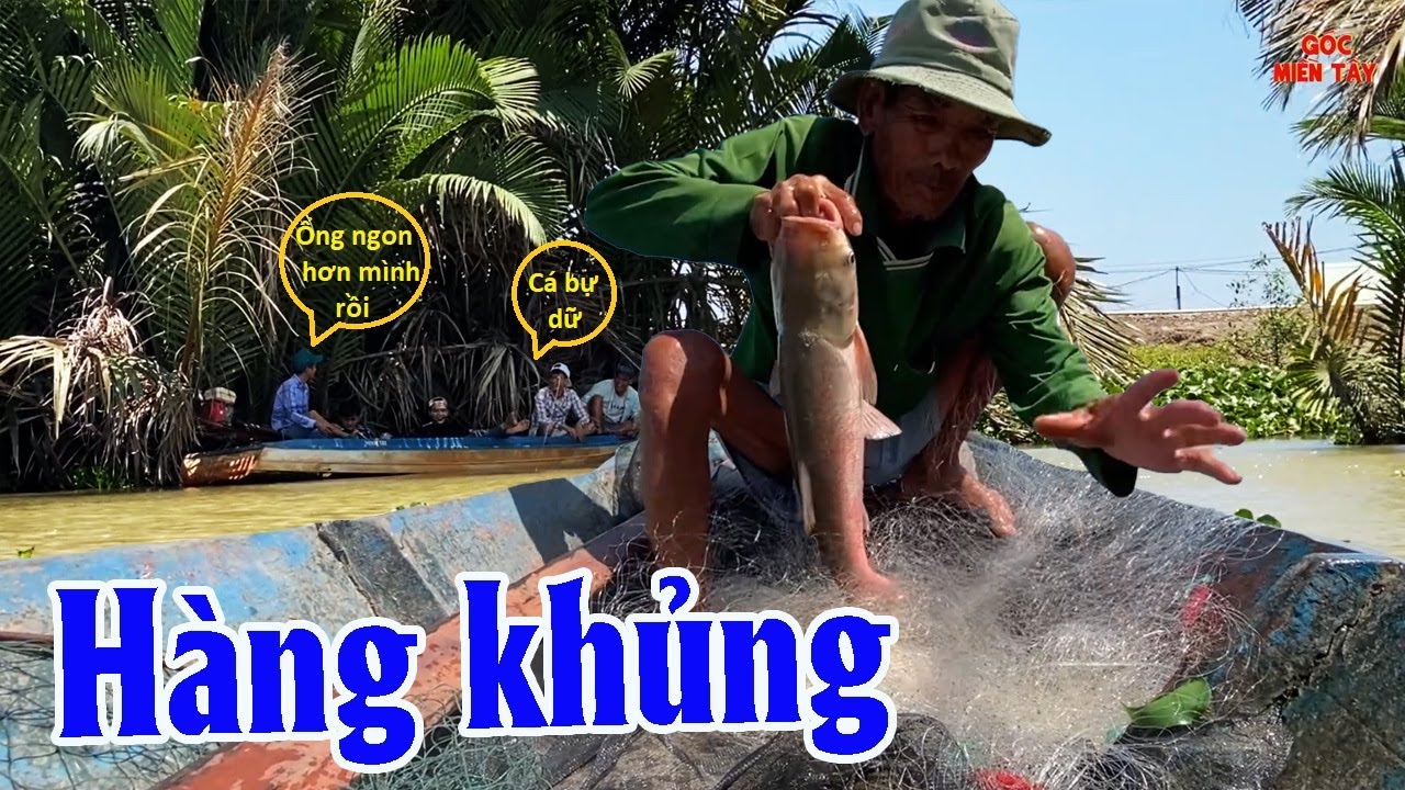 Lấy Lưới 1 Tấc Đi Giăng Trúng Đậm Cá Lớn | Góc Miền Tây #572