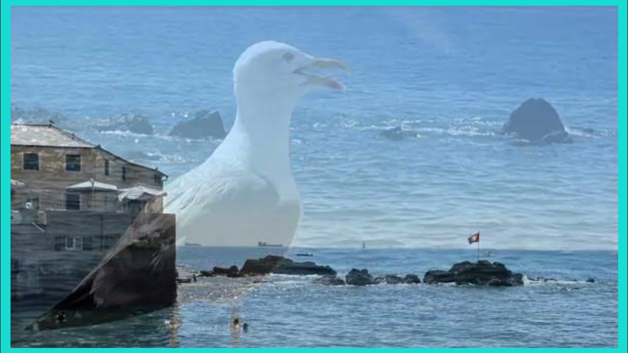 IL MARE IN CITTÀ GENOVA