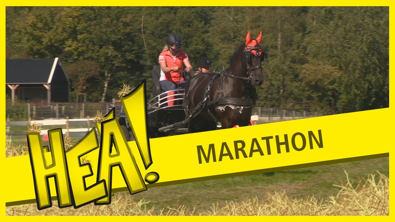 HEA! Paardenmarathon Sumarreheide