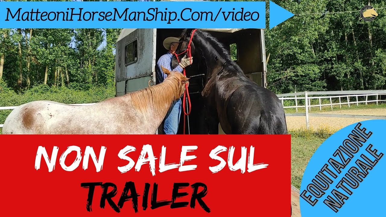 Il mio cavallo non vuole salire sul trailer