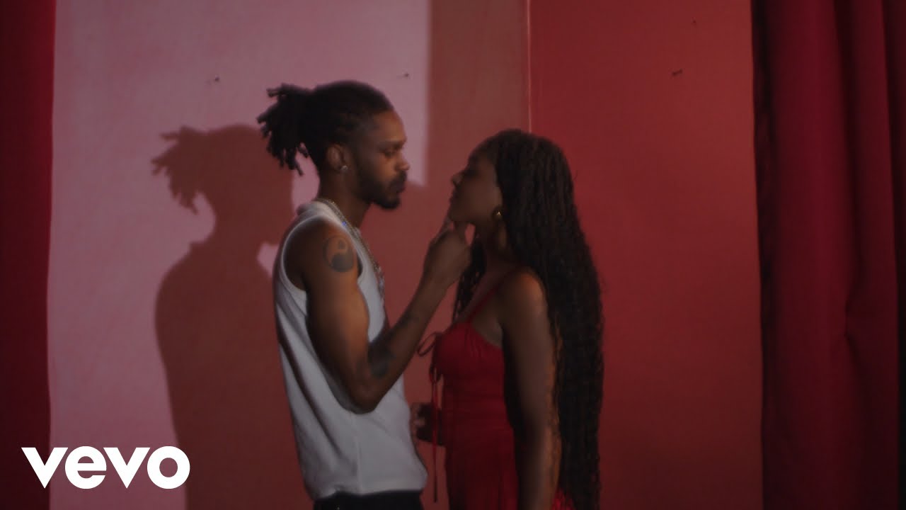 PinkFox - Love When You Faded (Official Video)