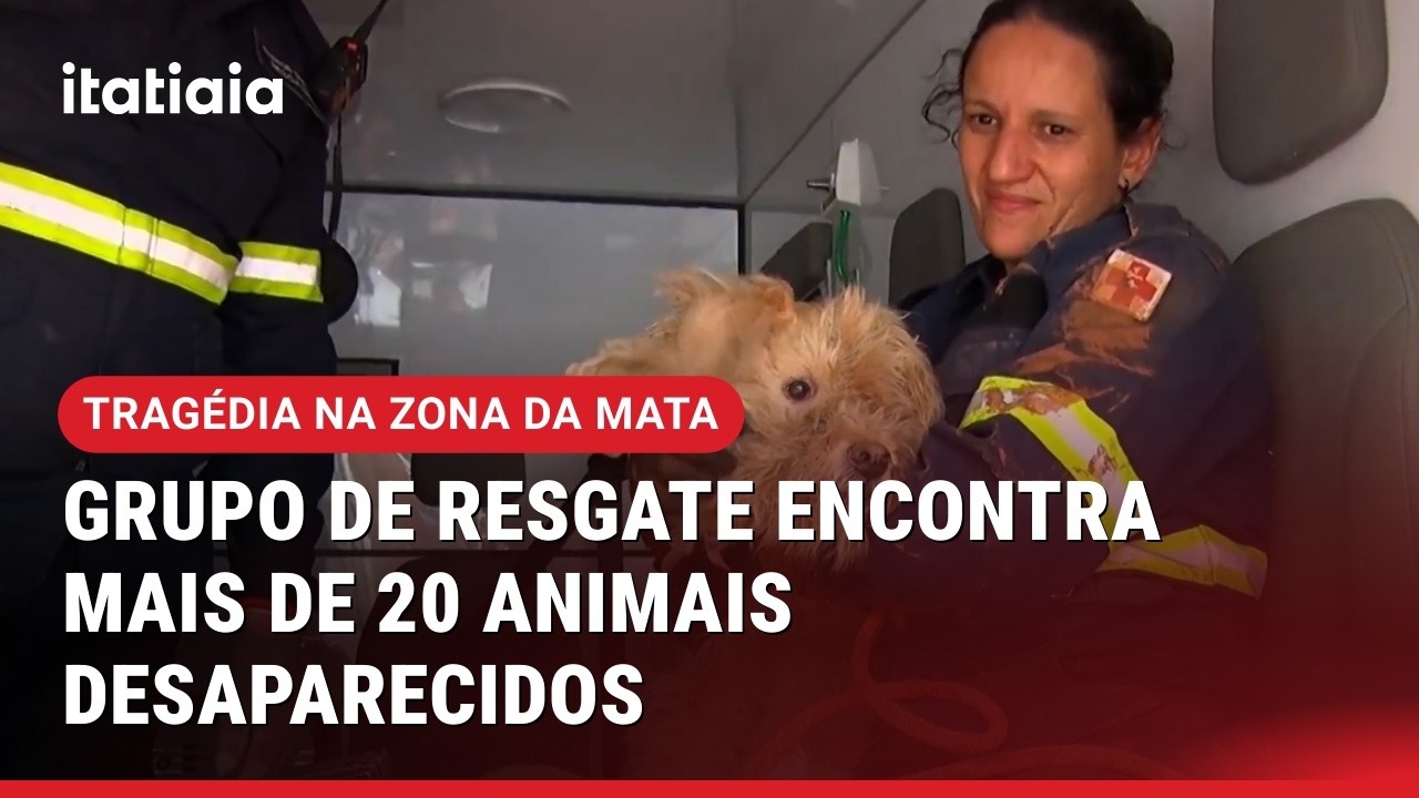 CHUVAS EM MG: GRUPO VOLUNTÁRIO DE RESGATE DE ANIMAIS AJUDAM A ENCONTRAR OS ANIMAIS DESAPARECIDOS
