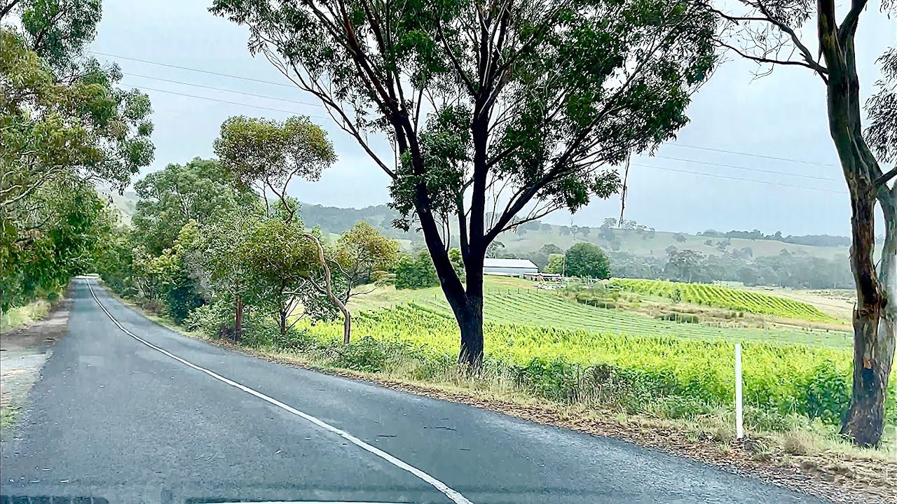 ADELAIDE HILLS DRIVE AROUNDS @ South Australia 🇦🇺 from exit Hahndorf