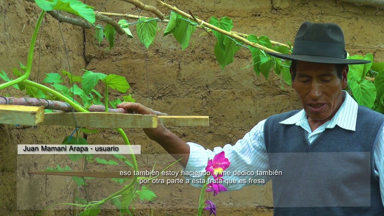 EXPERIENCIA EXITOSA PRODUCCION  DE HORTALIZAS Y FLORES BAJO INVERNADERO  NEC CHUPA II.