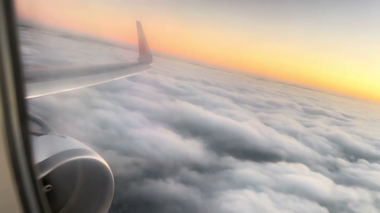 🇧🇷 Landing in Curitiba International Airport CWB