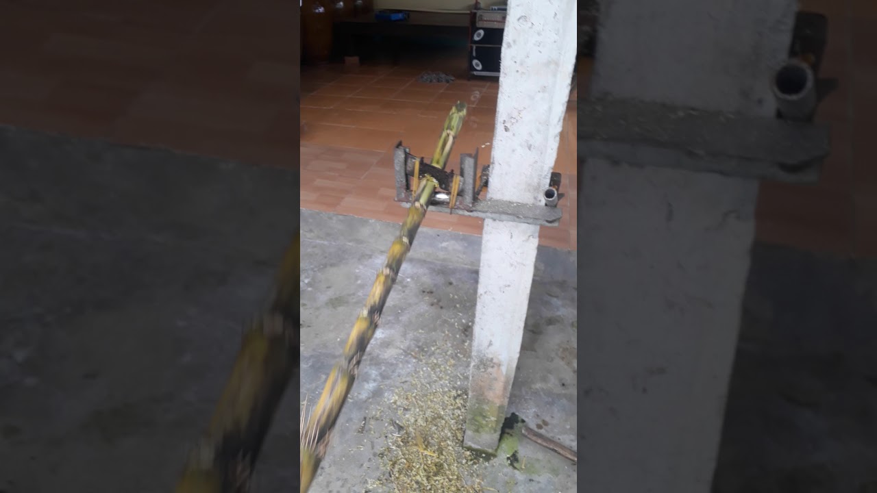 Máy cạo mía rẽ tiền dễ làm hiệu quả cao cạo mía cực nhanh