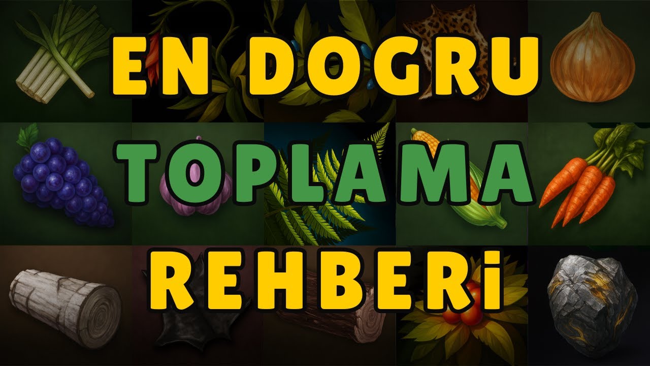 En Doğru Toplama Rehberi