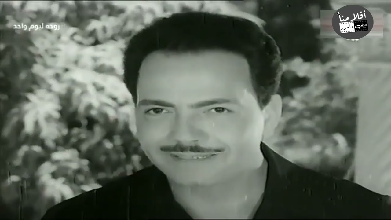 الحب من اول نظرة من فيلم زوجة ليوم واحد❤️