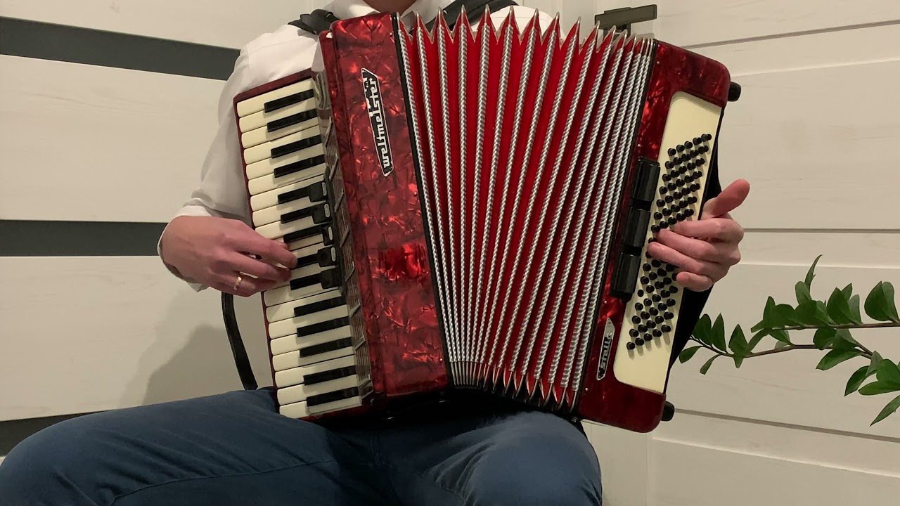 NIESPOTYKANY KOLOR OCZU MASZ - WELTMAISTER 80 BASÓW