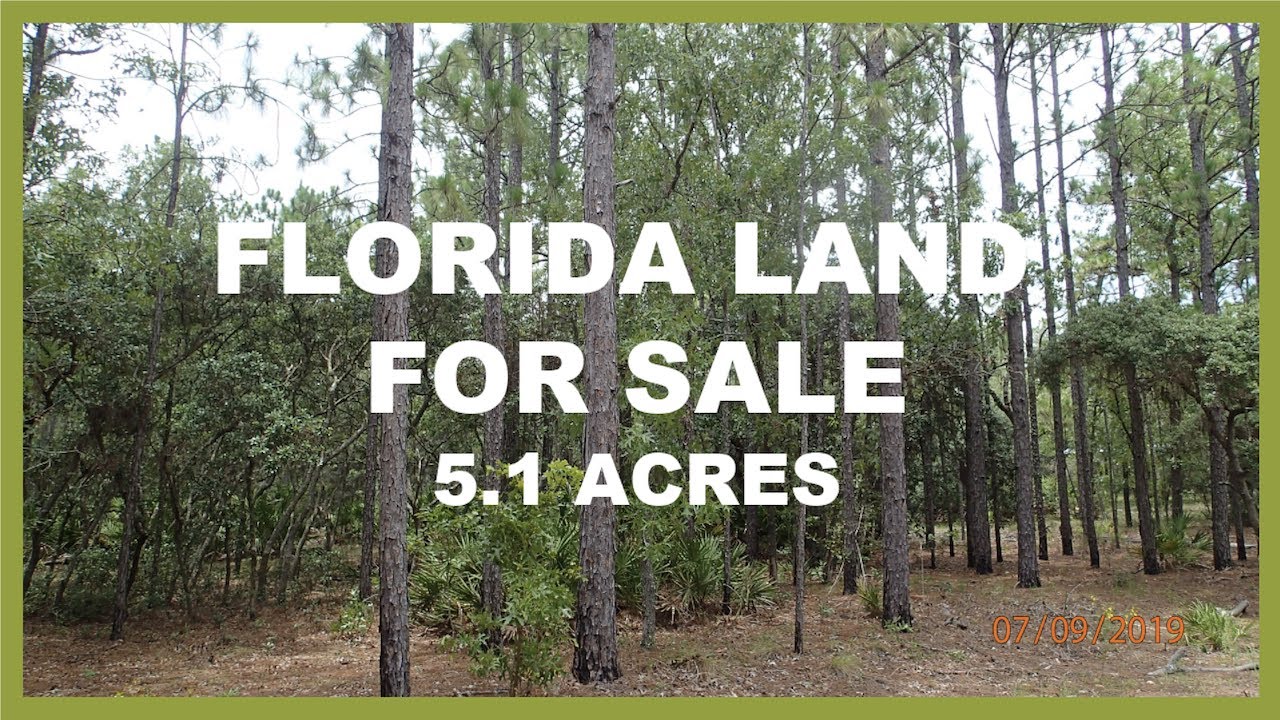 FLORIDA LAND - CITRUS COUNTY - 5.10 ACRES (SOLD)