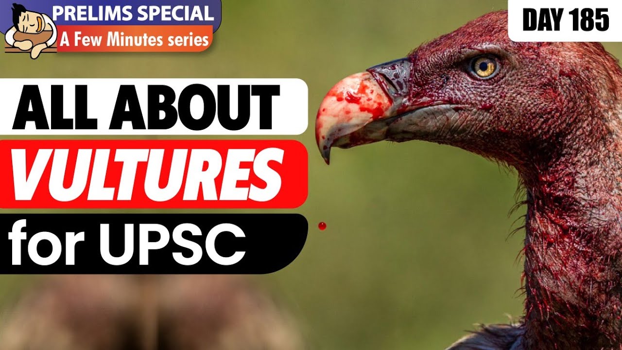 Everything About VULTURES for UPSC Prelims