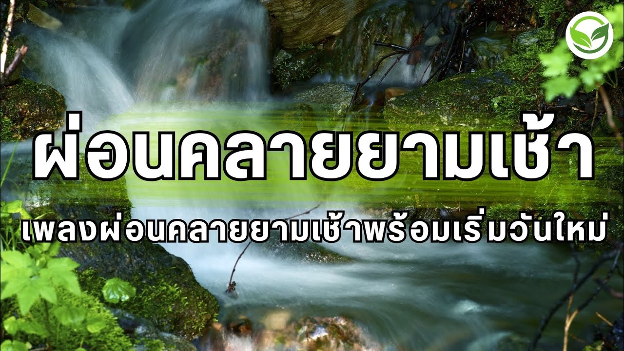 เพลงผ่อนคลายยามเช้า พร้อมเริ่มวันใหม่ เบาสบายใจ ดนตรีผ่อนคลายสมอง เพลงบำบัดจิตใจ  relaxing music