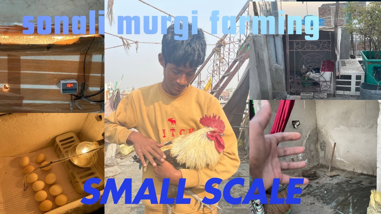 Sonali farming