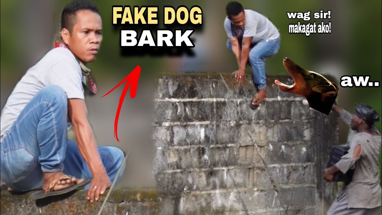 FAKE DOG BARK 