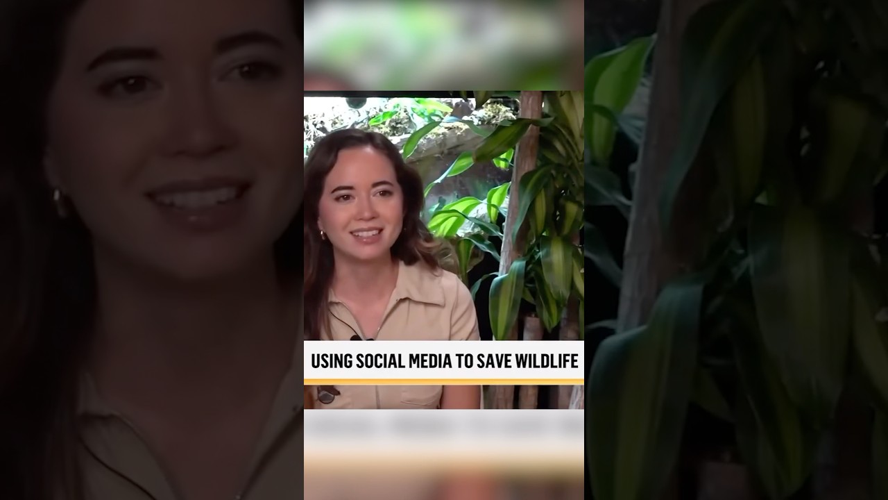 Grateful for this spotlight for Alveus by CBS News 💚🥹 #shorts #alveus #cbsnews #conservation #maya