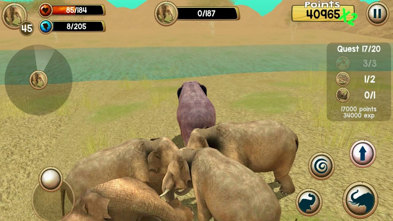 Wild Elephant Sim 3D Android Gameplay #6
