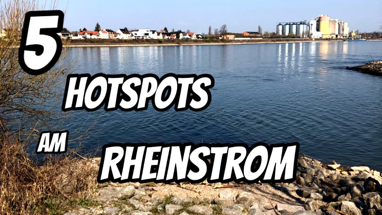 5 Top Angelstellen am Rheinstrom