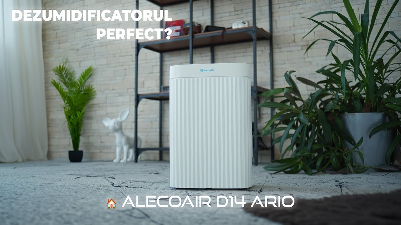 Review Alecoair D14 Ario: Merită Să Îl Cumperi? Adevărul Despre Dezumidificator.Alergic la ambrozie?