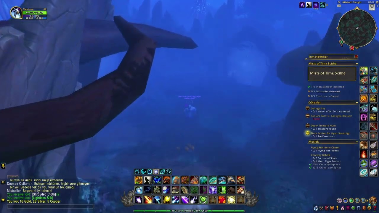 World of Warcraft Mists Of Tirna Scithe solo