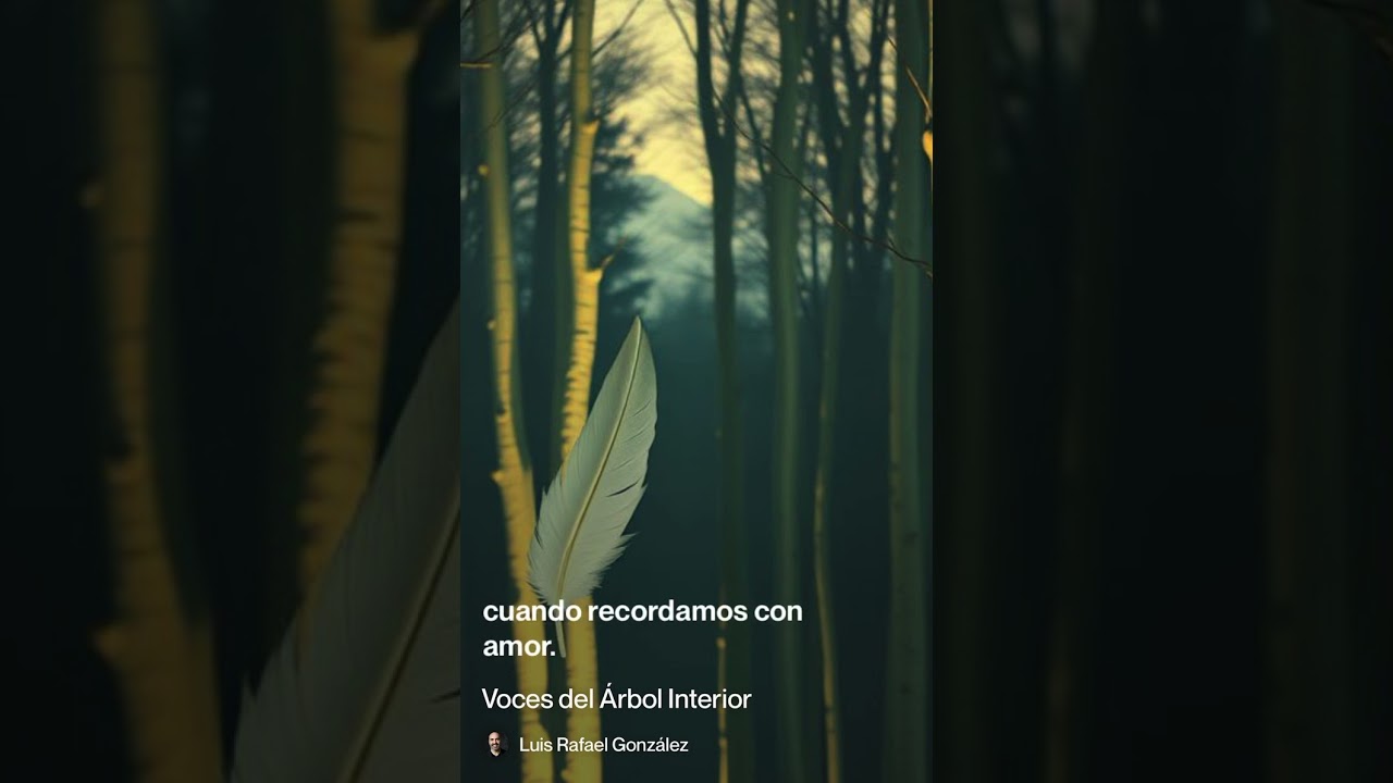 Voces del Árbol Interior | Canción poética sobre sueños, memoria y legado familiar #musica 