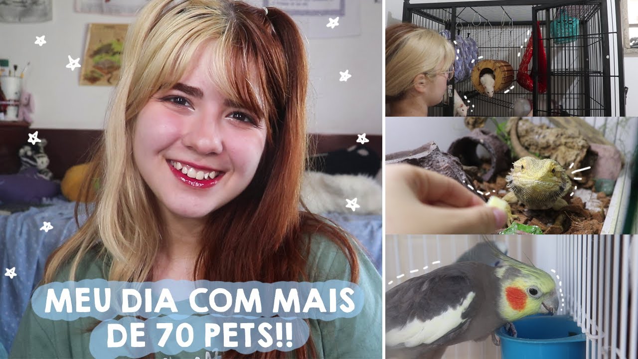 MINHA ROTINA DIÁRIA COM +70 ANIMAIS *na casa nova!!*