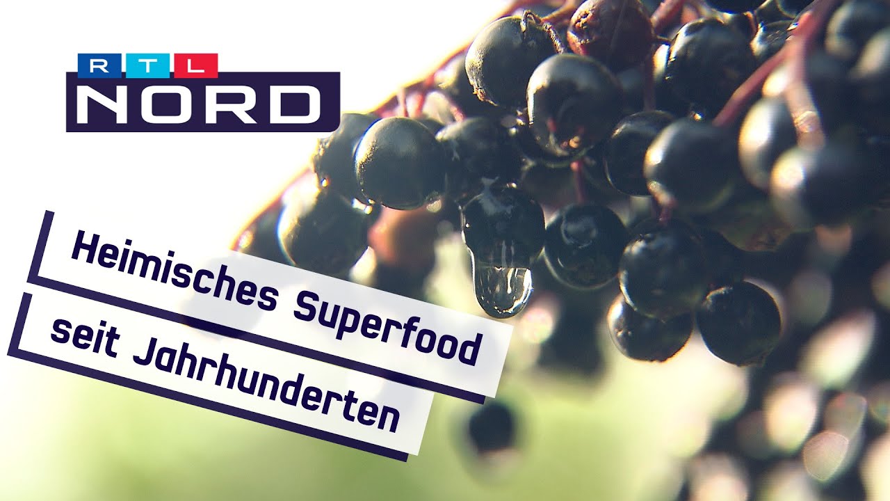 Holunder aus der Region: Nicht nur lecker sondern auch gesund!