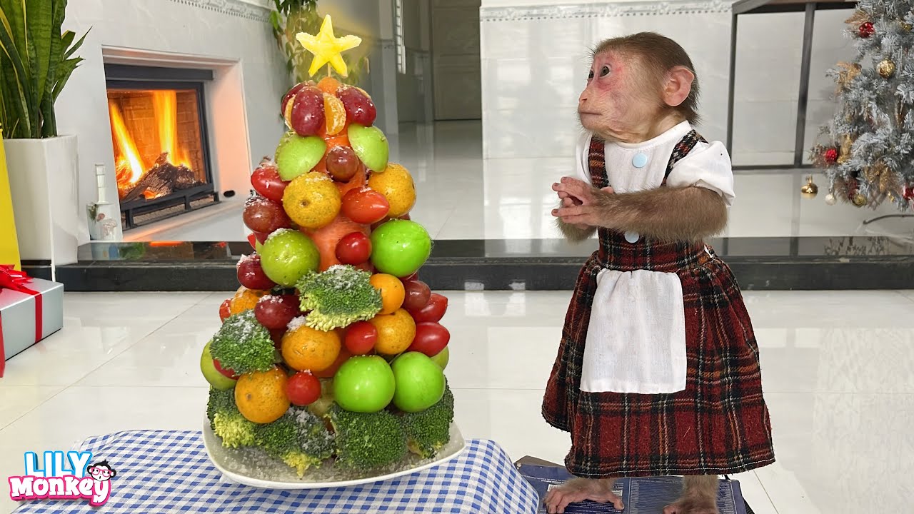Lily helps dad make a fruit Noel tree for Christmas