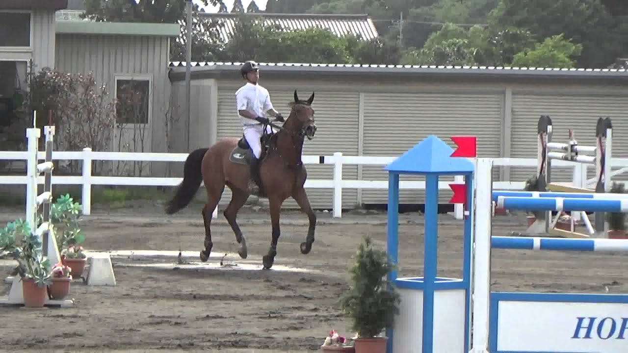 27年5月東日本障害　ｺｽﾀﾌﾞﾗﾊﾞCSI W