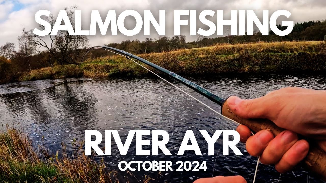 🍂🍁Последний заброс на лосося 2024 года на реке Эйр в Мьюиркирке 🎣🐟