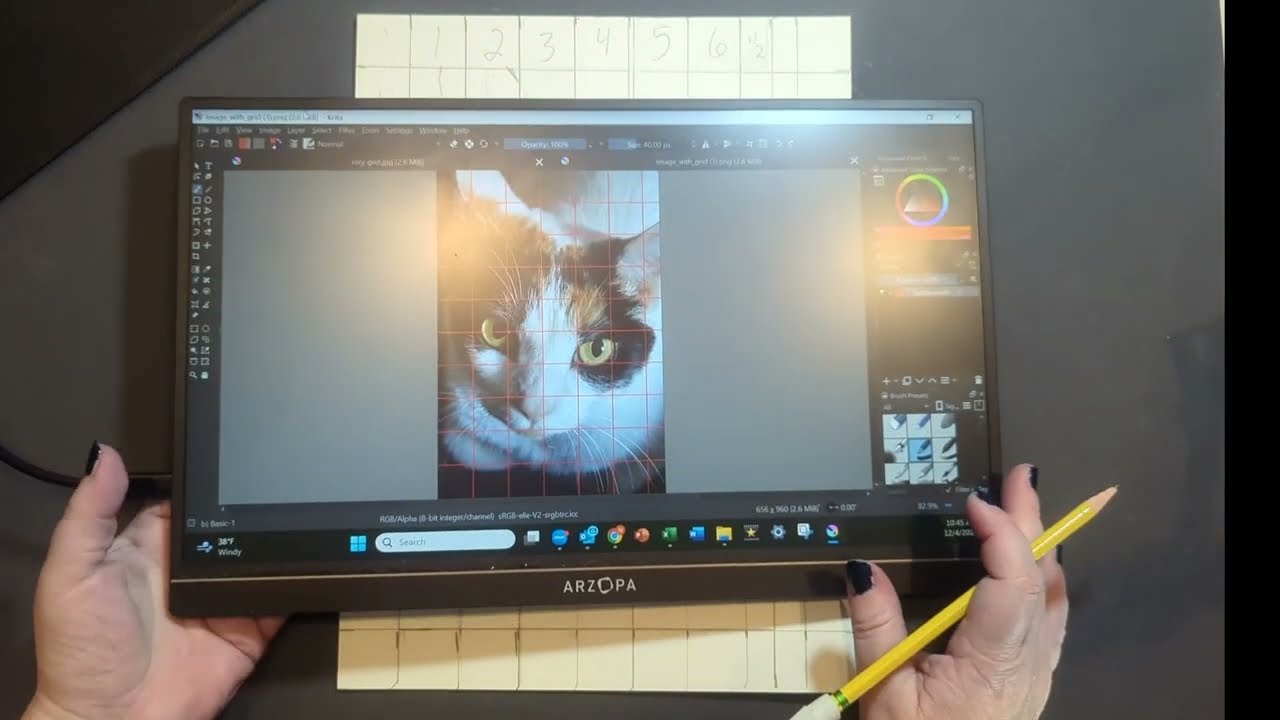 How to Use a Grid to Draw your Portrait