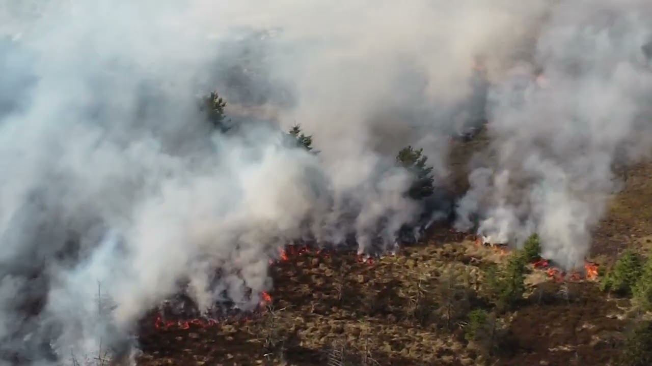 Fauldhouse wild fire