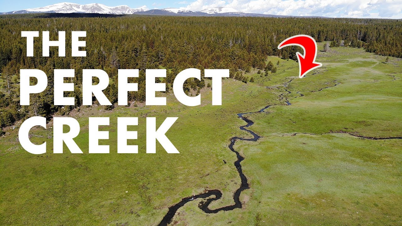 Fishing the Ultimate TINY Meadow Creek! (Tenkara Fly Fishing)