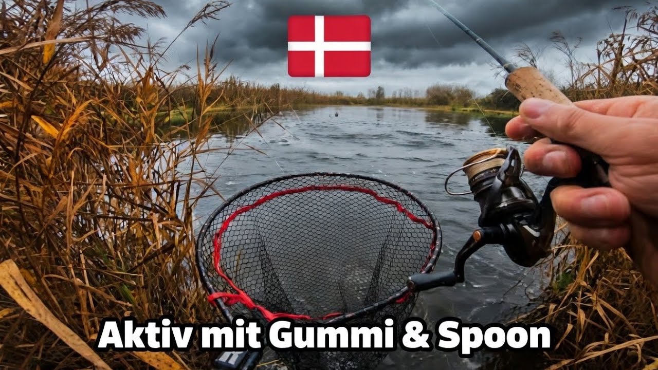 Stürmischer Herbst | Forellenangeln in Dänemark | Aktiv zum Fisch mit Gummi und Spoon