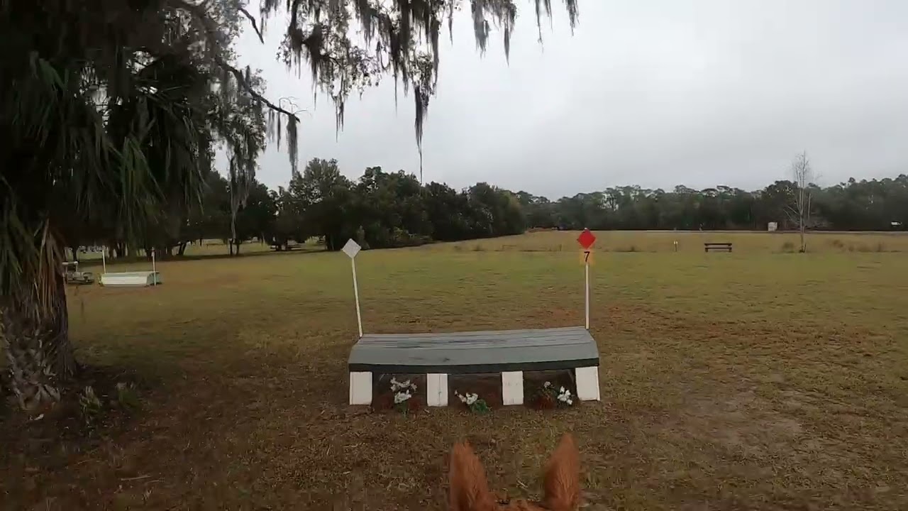 Charismatic Cowboy BN XC