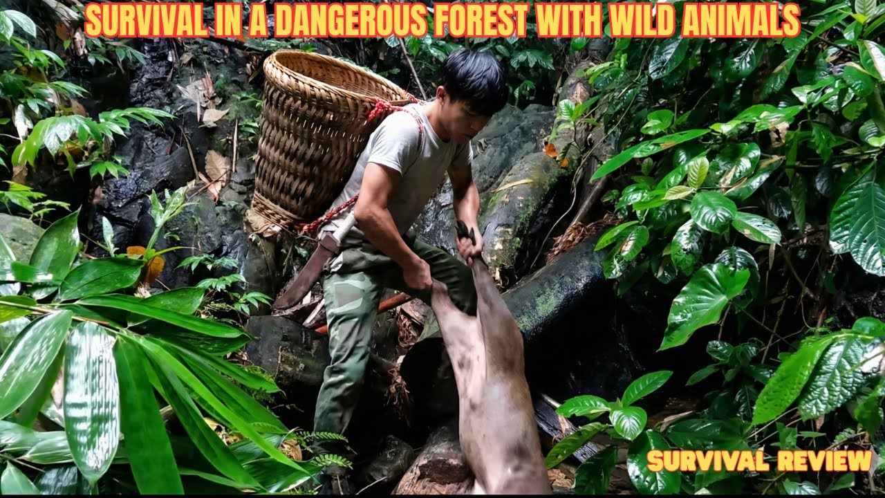 Solo Survival: Catching Big Wild Prey in the Deep Jungle