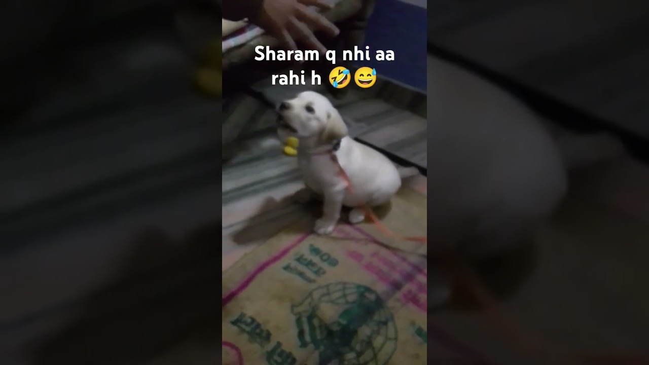 sharam q nahi aa rahi h 😅🤣 
