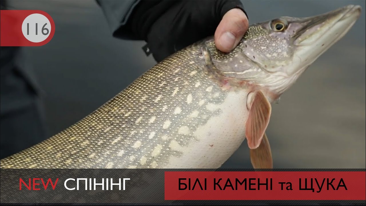 Білі Камені та Щука | NEW Спінінг №116