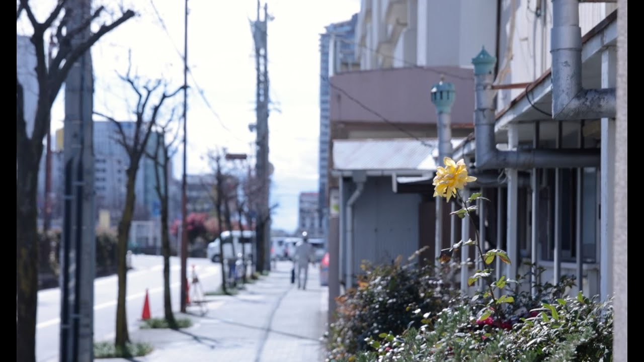 Climb The Mind 「近影」（Official Music Video)