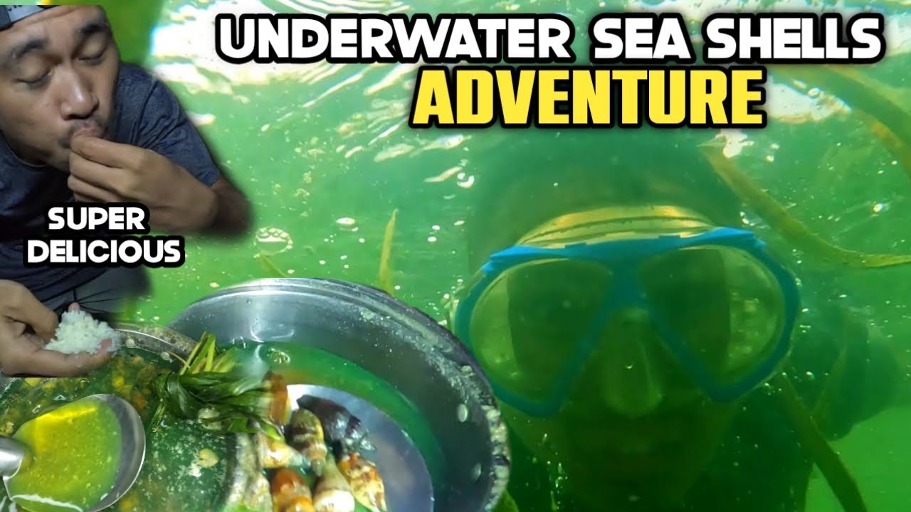 UNDERWATER SEASHELLS ADVENTURE | SUPER DELICIOUS | MarinongDj