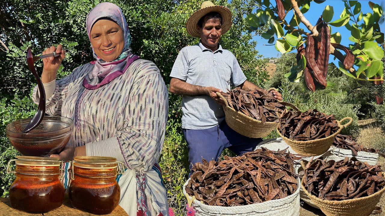 جني محصول الخروب و تحويله الى عسل طبيعي لذيذ   