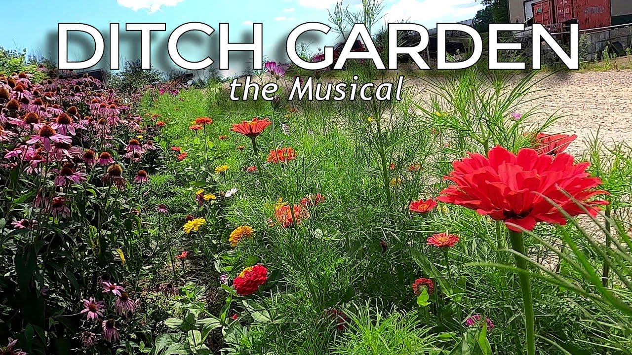 Ditch Garden: The Musical 🦋