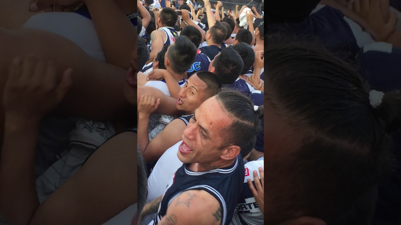 Y LLORA CABRO SOPLON   ALIANZA CAMPEON NACIONAL 2017