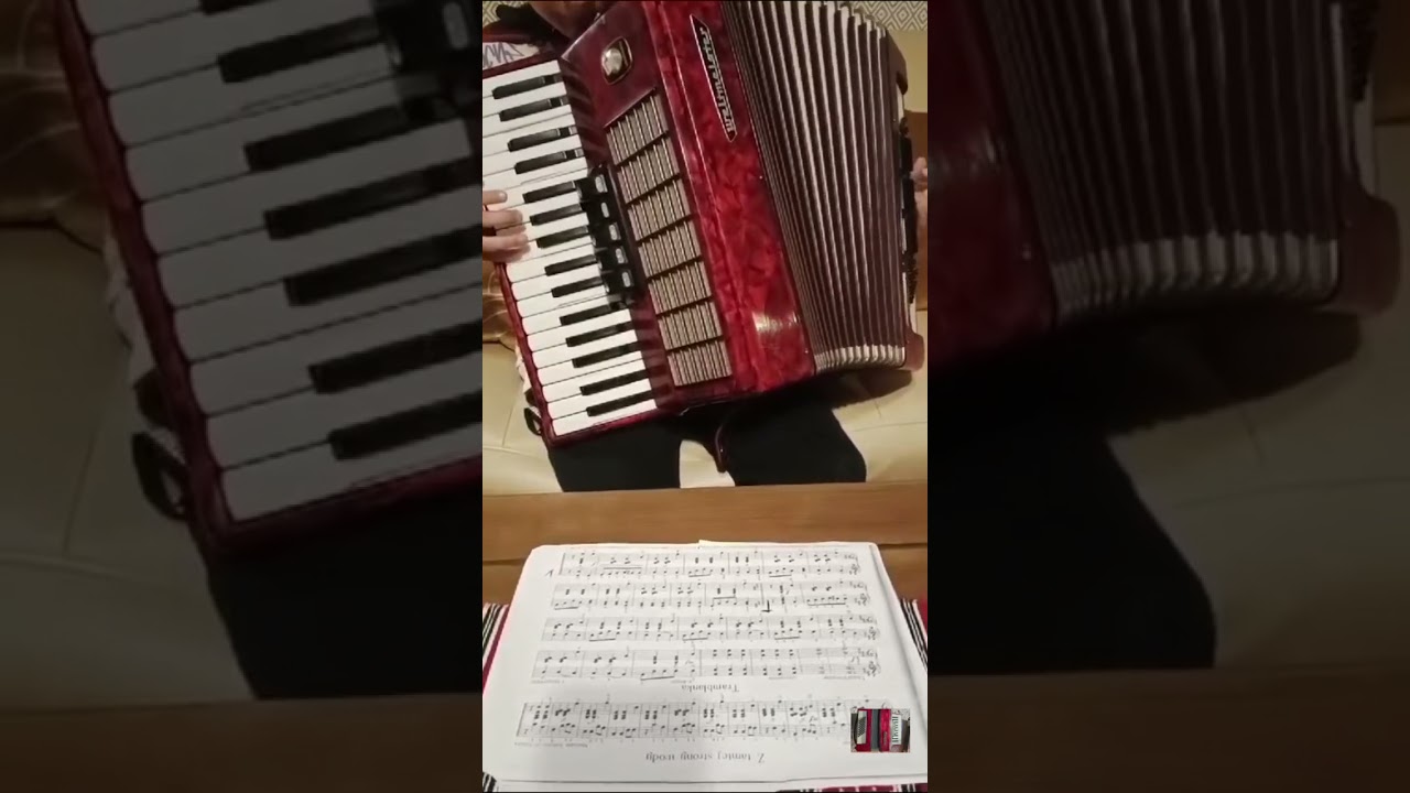 Druga część Tramblanki 2/2 zostaw suba #music  #hobby #accordion