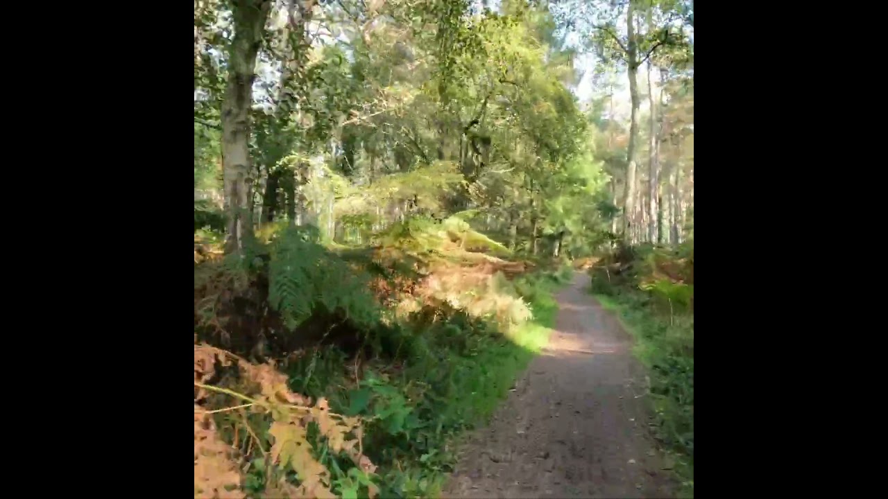Biketrail 🌲🌳🚴🏼&zwj;♂️🚴🏻&zwj;♀️🌲🌳🌞 vom 