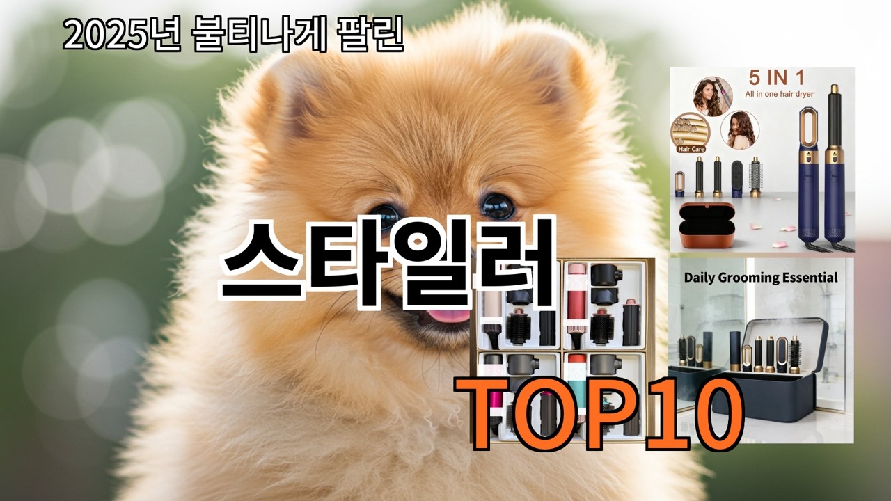 알리 스타일러 실제 후기 보고 고른 알리템